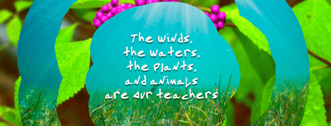 email capture banner