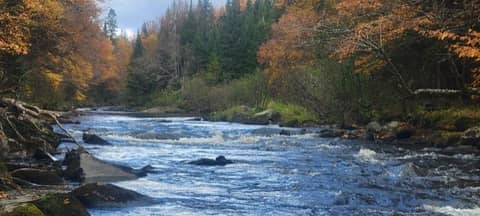 New England’s Best Kept Fly Fishing Secret? The Upper Connecticut River