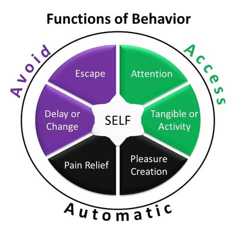 Applied Behavior Analysis with the Behavior Dude, Steven Forth, M.Ed., BCBA