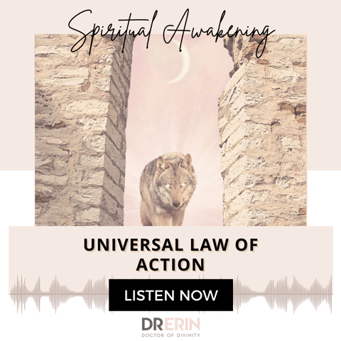 Universal Law of Action {33 of 52 series}