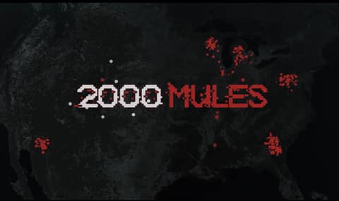 2000 Mules 2000 Mules