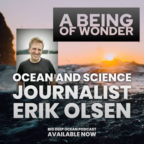 A Being of Wonder - Ocean and Science Journalist Erik Olsen on a life driven by exploration, curiosity, and otherworldly cephalopods in the Lembeh Strait