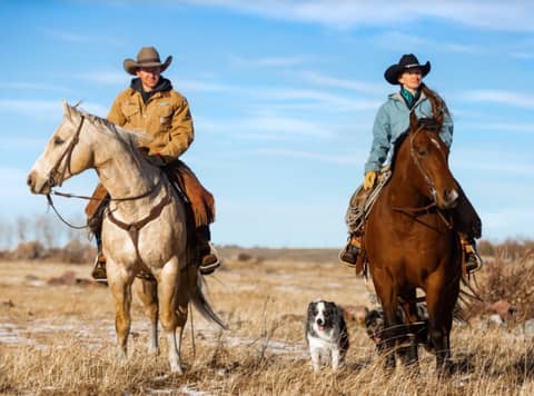 Lor A Australian Shepherds with Beth Crandall