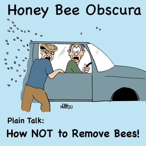 Plain Talk: How Not To Remove Bees! (185) Plain Talk: How Not To Remove Bees! (185)
