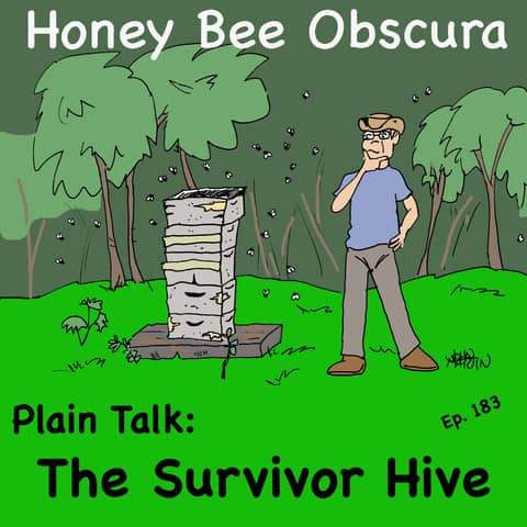 Plain Talk: The Survivor Hive (183) Plain Talk: The Survivor Hive (183)