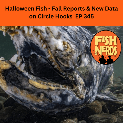 Halloween Fish - Fall Reports & New Data on Circle Hooks  EP 345