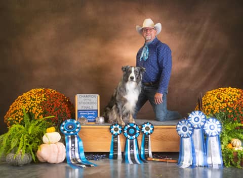 True Versatility - Working Ranch dogs - Winning Trial dogs with Tom Collins