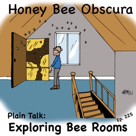 Plain Talk: Exploring Bee Rooms (225) Plain Talk: Exploring Bee Rooms (225)