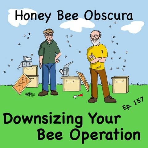 Downsizing Your Bee Operation (157) Downsizing Your Bee Operation (157)