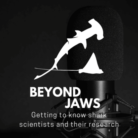 The Power of Tiny Changes in Atomic Habits in Your Wildlife Career