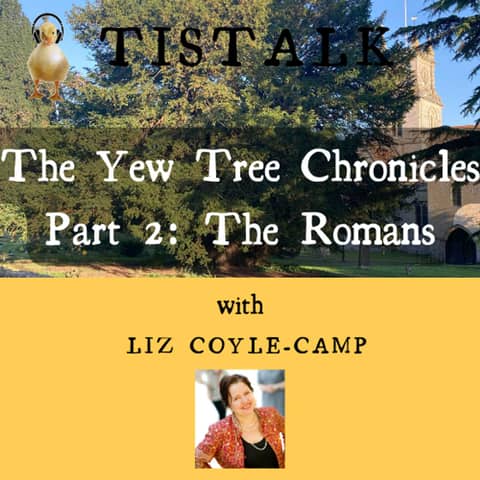 Tisbury's Yew Tree Chronicles Part 2 'The Romans' (5 mins)