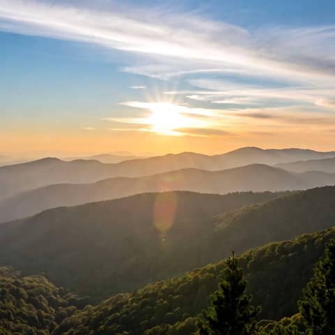 Tensions Are Rising with Combat Veteran Emmette Bird