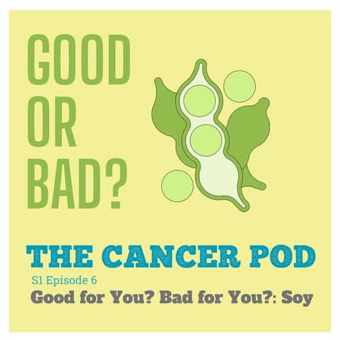 Good for You, Bad for You: Soy
