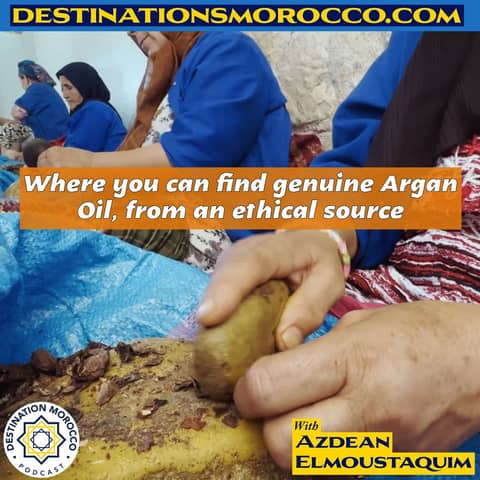 Where you can find genuine Argan oil, from an ethical source