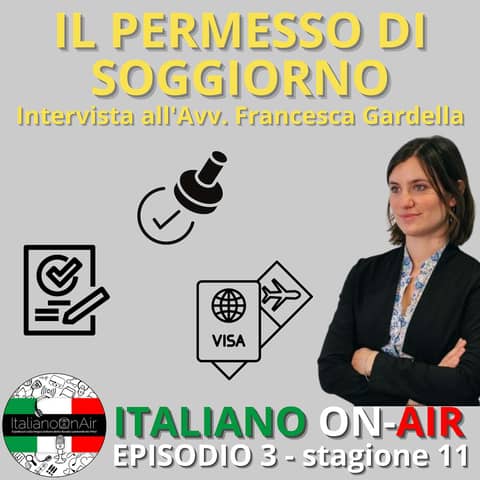 Il permesso di soggiorno - Ep. 3 (stagione 11)