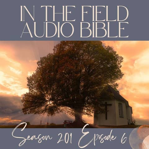 Come to Me: Jesus' Invitation for the Weary Soul