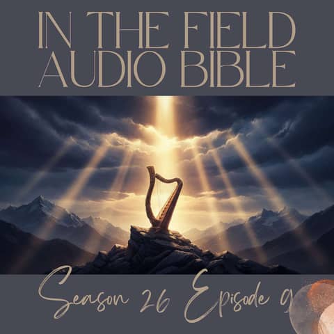 Unheard No More: The God Who Sees the Forgotten