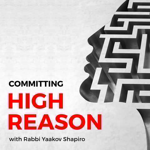 Zionism Has Nothing to Do with Judaism: An Interview With Rabbi Yaakov Shapiro