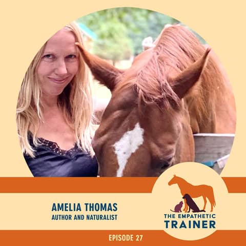Listening Is Noticing — Amelia Thomas (S4 · E27)