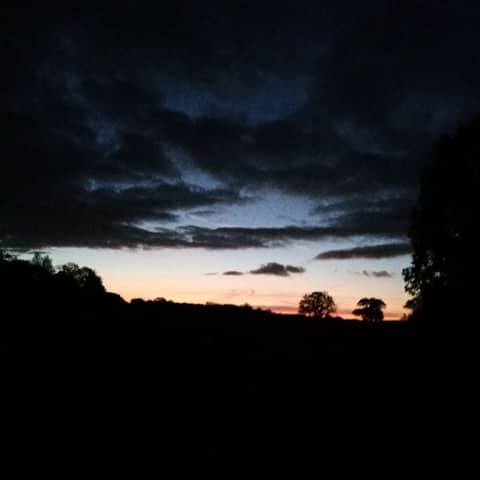 The Night Speaks with its Silences