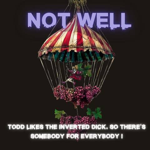Todd Likes The Inverted Dick. So There's Somebody For Everybody | Not Well Podcast (Gay Hosts)