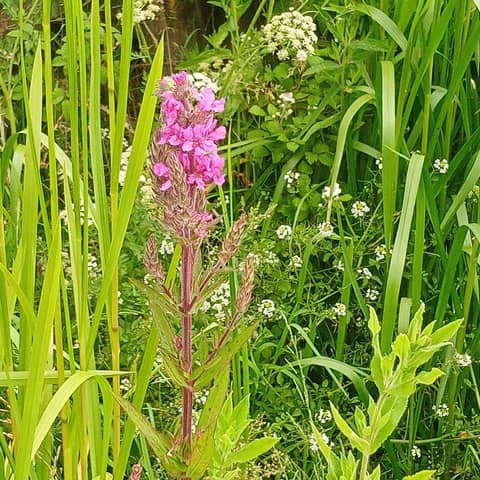 Living inside the Seasons