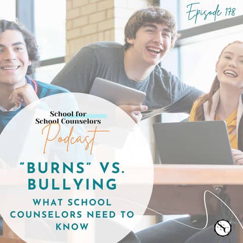 "Burns" vs. Bullying: What School Counselors Need to Know