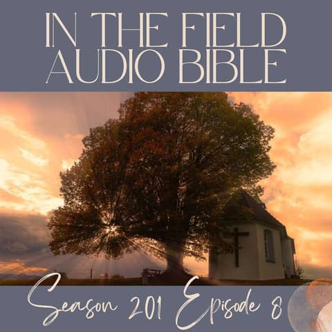 When Mercy Speaks: Finding Grace in Judgment