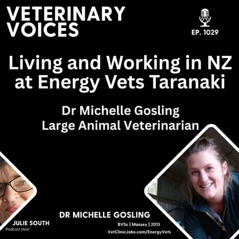 Living and Working at Energy Vets Taranaki with Large Animal Veterinarian - Dr Michelle Gosling - 1029