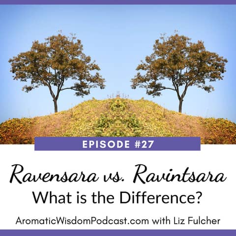 27: Ravensara vs. Ravintsara: What is the Difference?