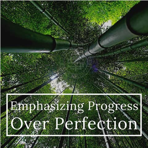Emphasizing Progress Over Perfection 204