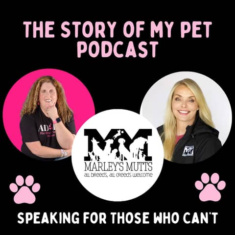 State of Animal Welfare: Updates from Marley's Mutts Dog Rescue's Melissa Brunson