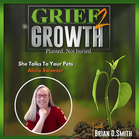 UNVEILING Hidden Wisdom: The POWER of Our Animal Companions!- with Alicia Sweezer EP 378