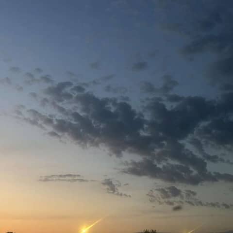 Lavender oil repels mosquitoes