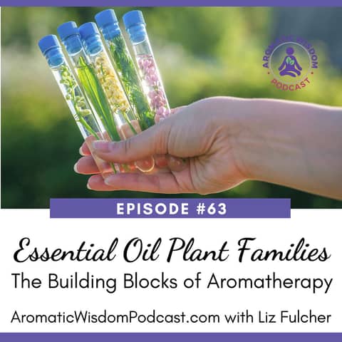 63: Essential Oil Plant Families: A Guide to Aromatherapy's Building Blocks