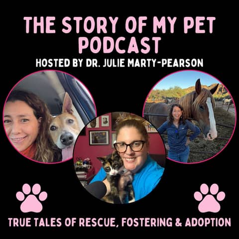 Paw Prints on Our Hearts: Navigating Pet Loss and Love with Ami King