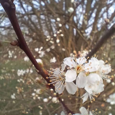 Cloud Herder (Won't you spin us one last story?)