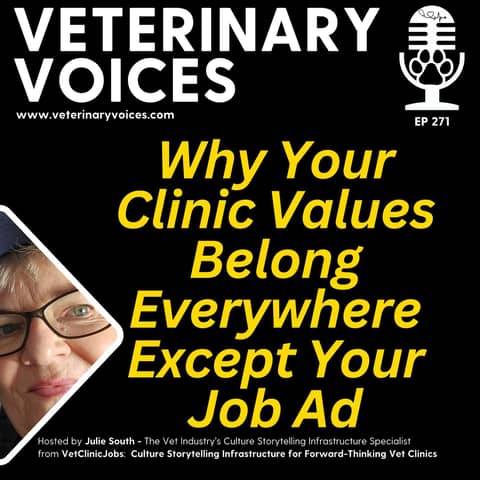 Why Your Clinic Values Belong Everywhere Except Your Job Ad - ep. 272