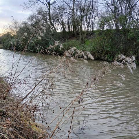 In the Belly of Winter