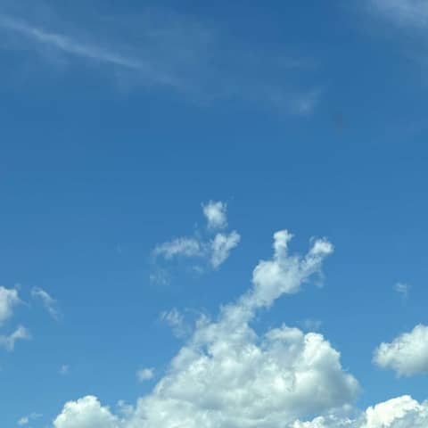 Take Peace Everywhere You GROW