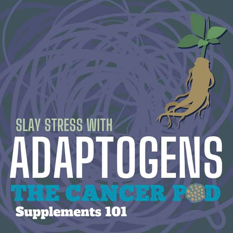 Slay Stress with Adaptogens: Supplements 101