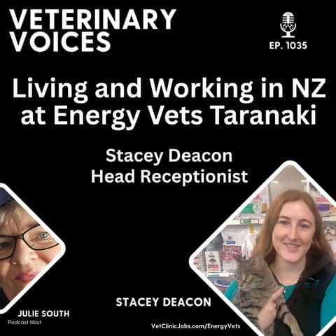 Living and Working at Energy Vets Taranaki with Stacey Deacon - Head Receptionist - 1035