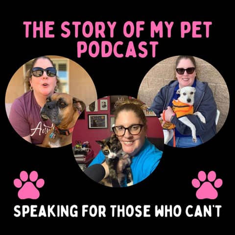 Animal Voices Amplified A New Season of Heartwarming Pet Stories
