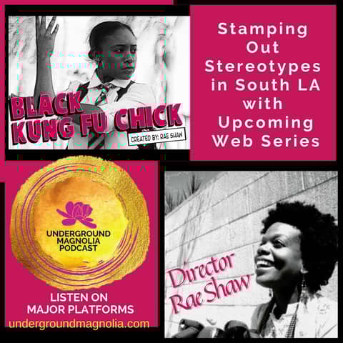 Stamping Out Stereotypes in South LA with Upcoming Web Series 'Black Kung Fu Chick'