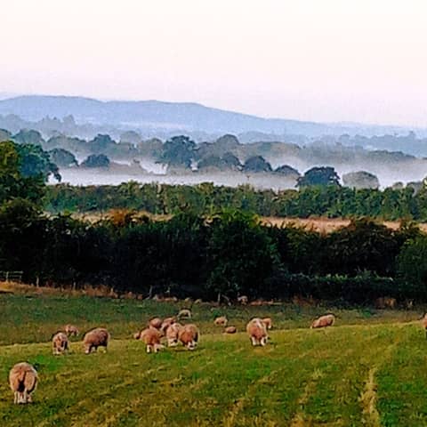 Spun by Wonderment (above Hemel Hempstead)