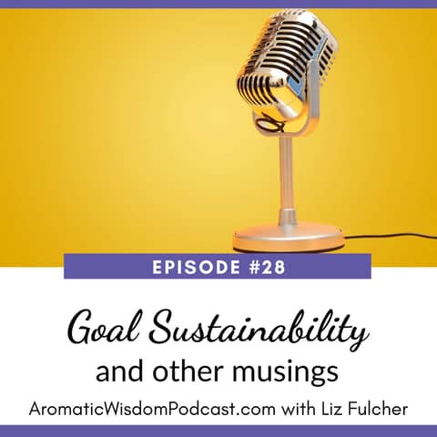 28: Goal Sustainability and Other Musings