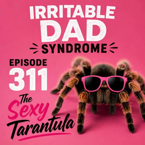 IDS #311 - The Sexy Tarantula IDS #311 - The Sexy Tarantula