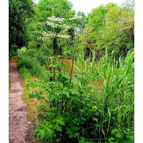 A Sunday Morning in May