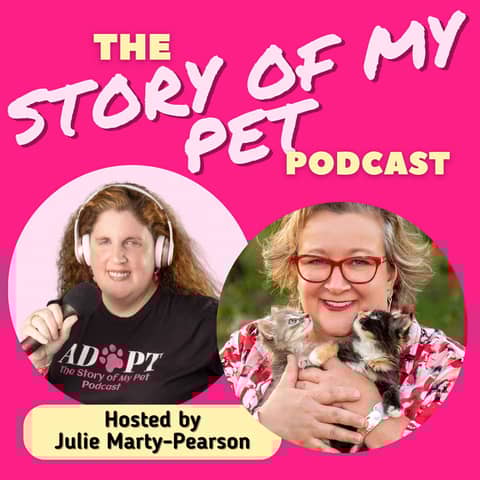 Healing Hearts and Paws: The Emotional Journey of Animal Rescue with Starlight Outreach