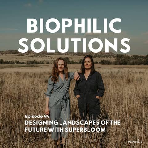 Designing Landscapes of the Future with Superbloom